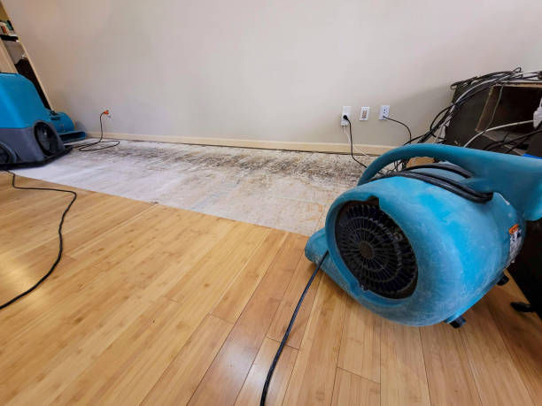 Professional Water Damage Repair technician working in Bladensburg, OH